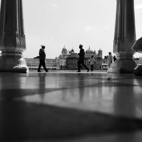 Photo #10708478