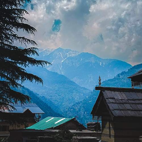 Photo #10708483