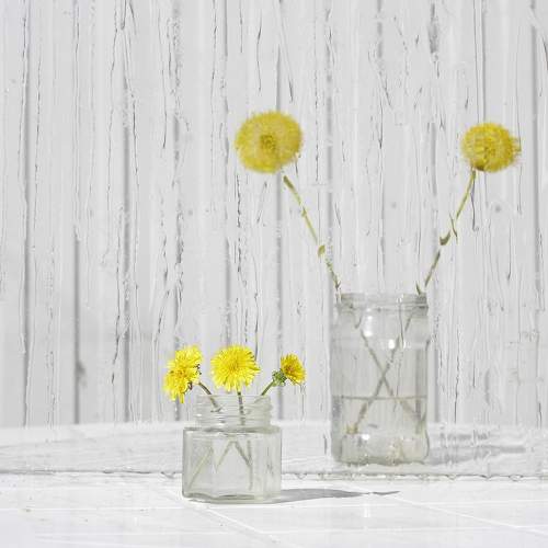 Photo #10708577