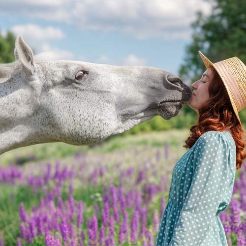 Photo #10708643