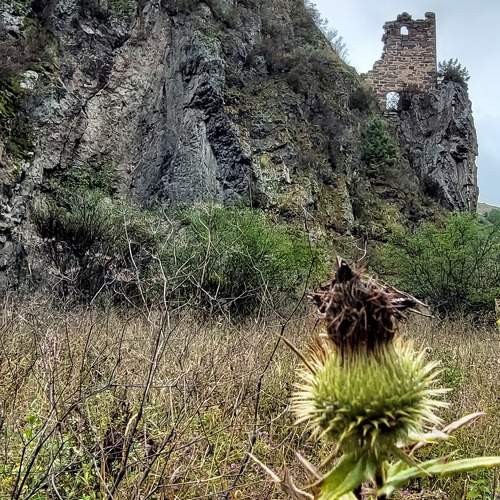 Photo #10708822
