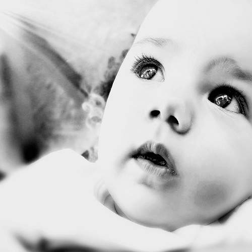 Photo #10709178