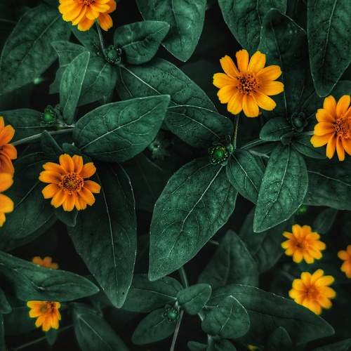 Photo #10709263