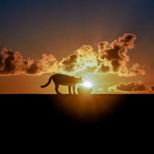 Getting some Vitamin D