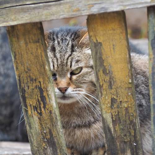 Photo #10709471