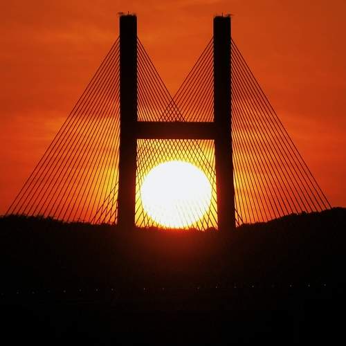 Photo #10709549