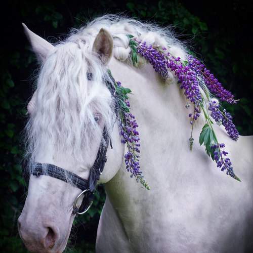 Photo #10709552