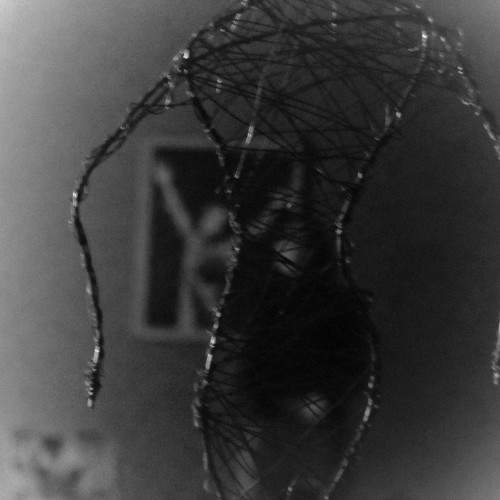 Photo #10709589
