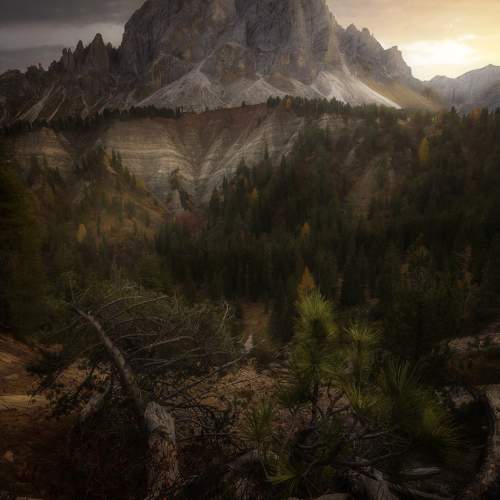 Photo #10709593