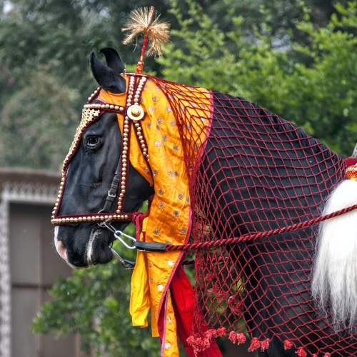 Photo #10709643