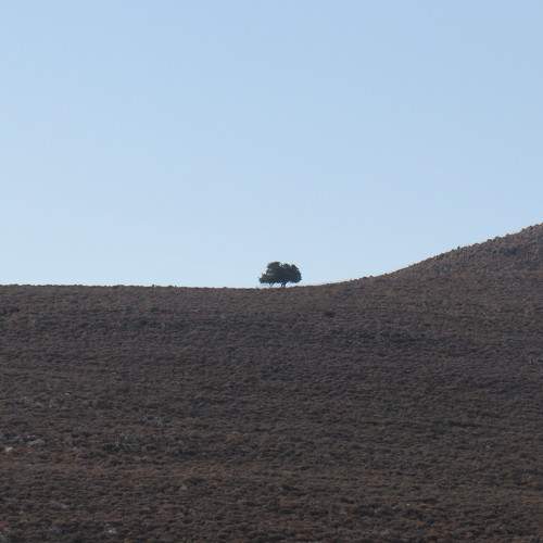 Photo #10709686