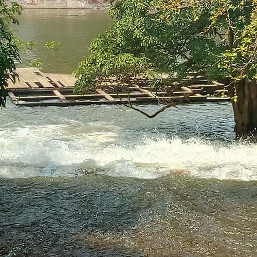 Photo #10709876