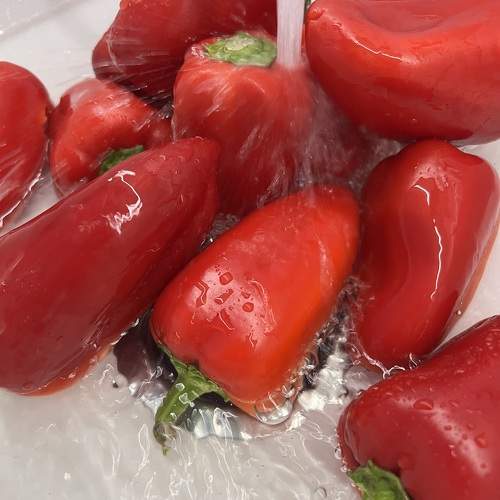 Photo #10710018