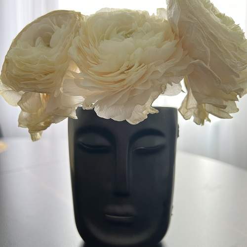 Photo #10710039