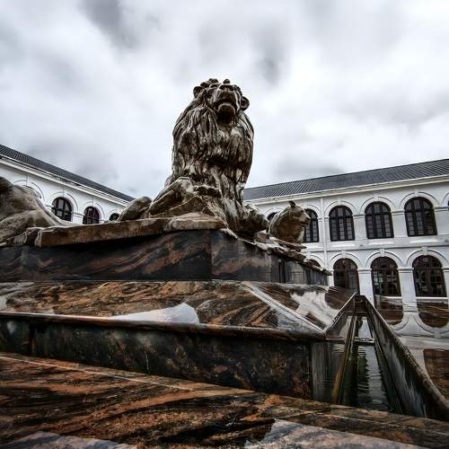 Photo #10710299