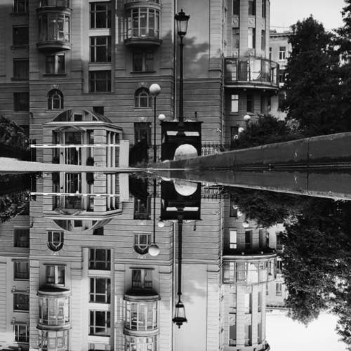 Photo #10710675