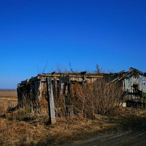 Photo #10710890