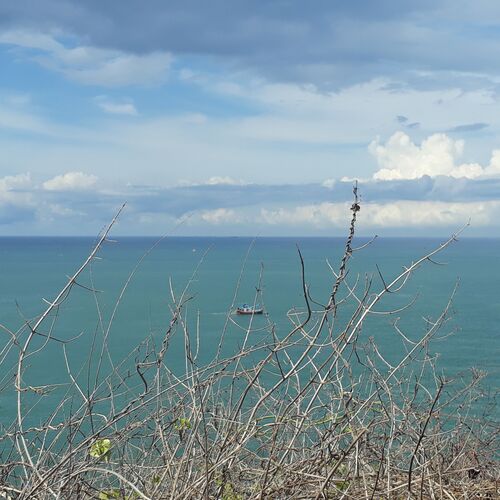 Photo #10710891