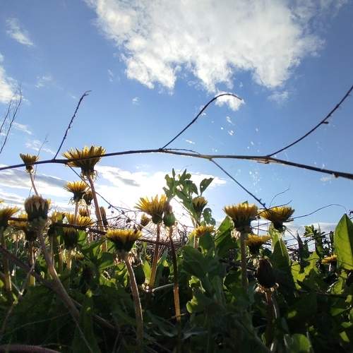 Photo #10711088