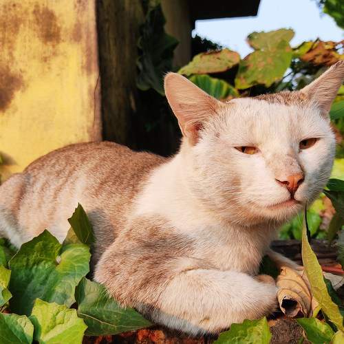Photo #10711326