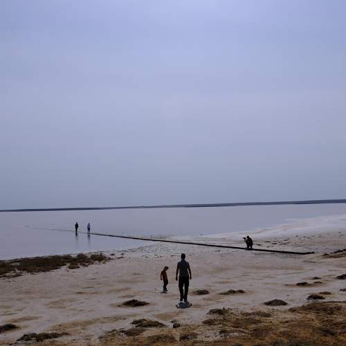 Photo #10711448