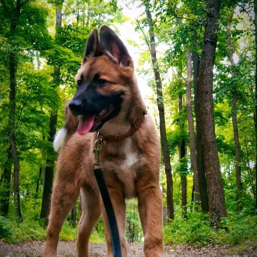 Photo #10711741