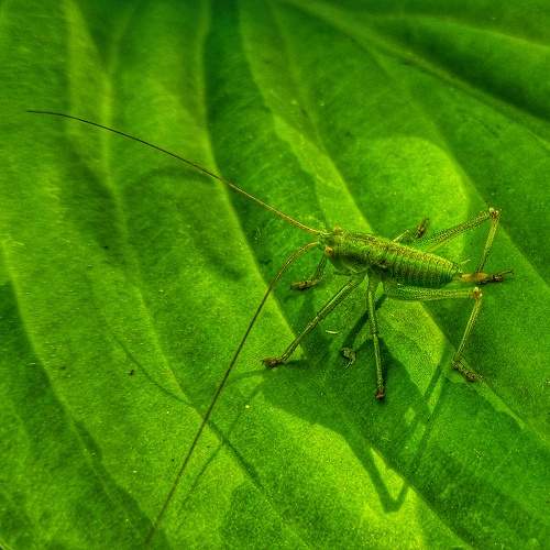 Photo #10712050