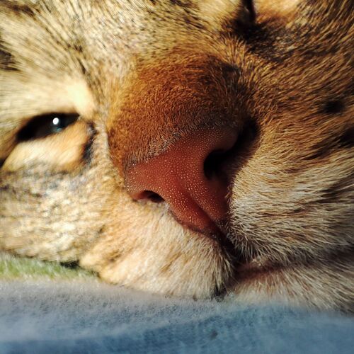 Photo #10712098