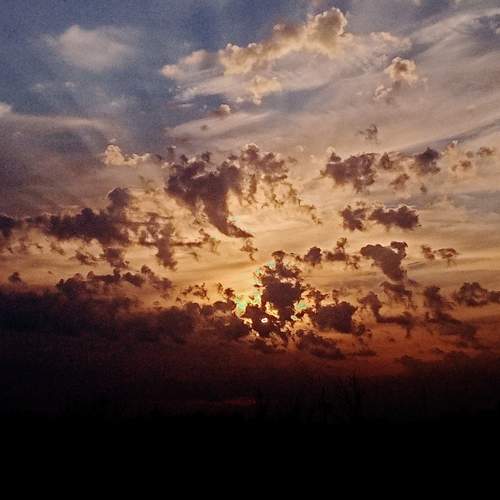 Photo #10712103