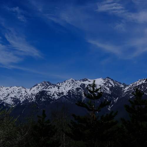 Photo #10712112