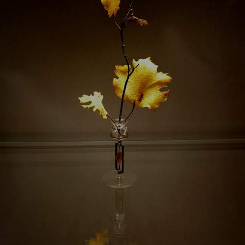 Photo #10712257