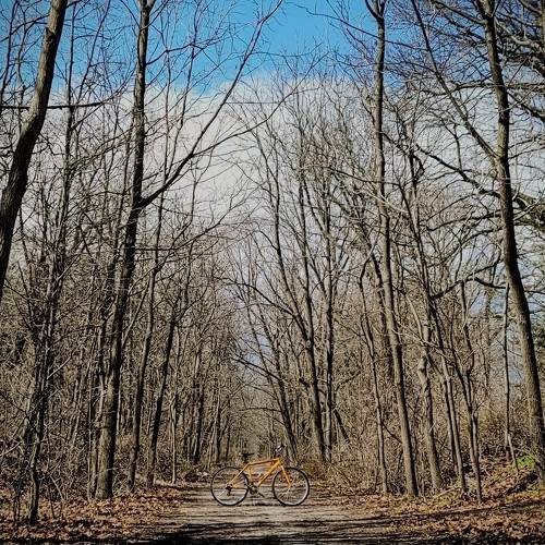 Photo #10712422