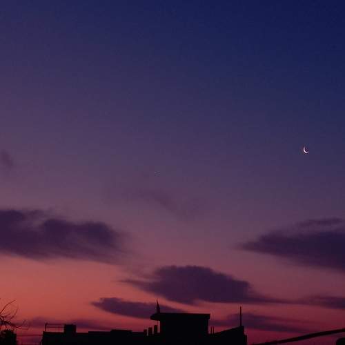 Photo #10712476