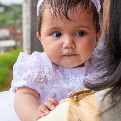 Photo #10712491