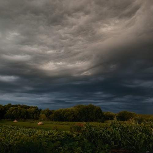 Photo #10712634