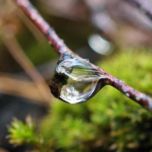 Photo #10712636