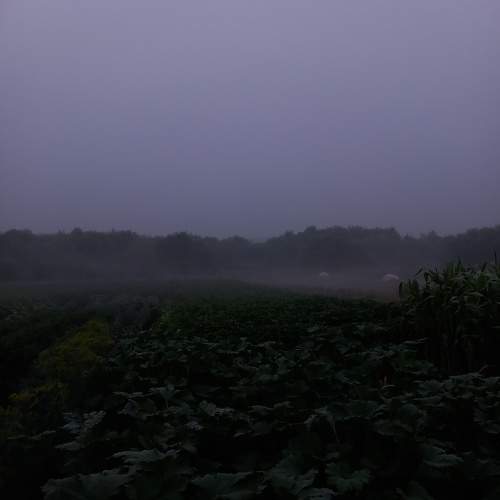 Photo #10712670