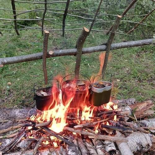 Photo #10712802