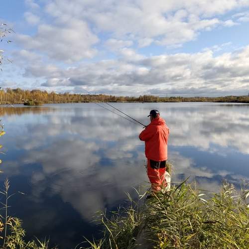 Photo #10712804