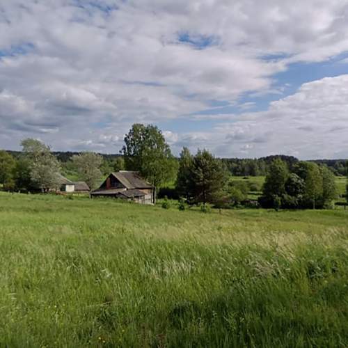 Photo #10712821
