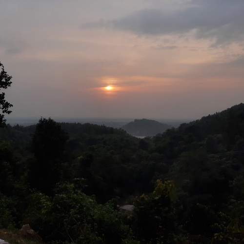 Photo #10713074