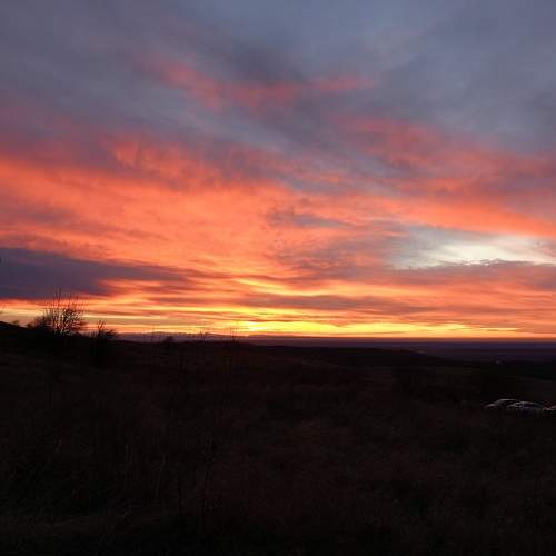 Photo #10713373