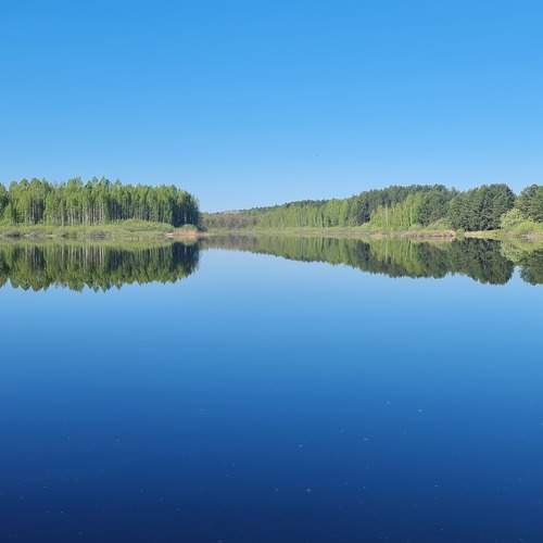 Photo #10713469