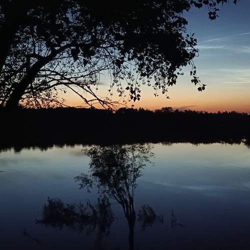 Photo #10714149