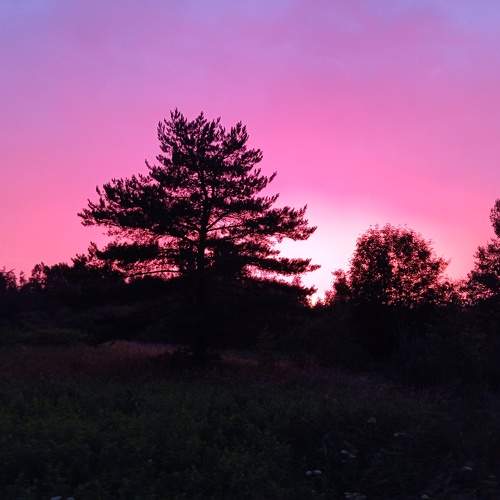 Photo #10714412