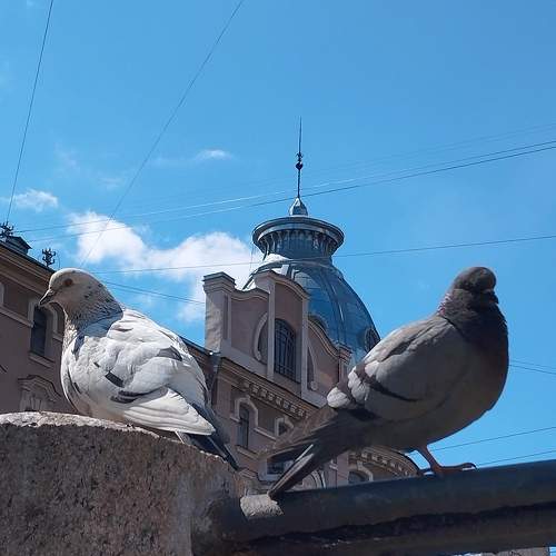 Photo #10714761