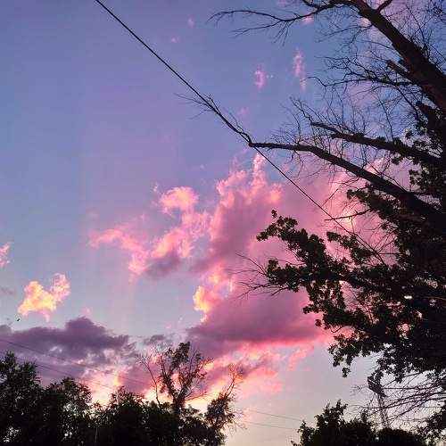 Photo #10715097