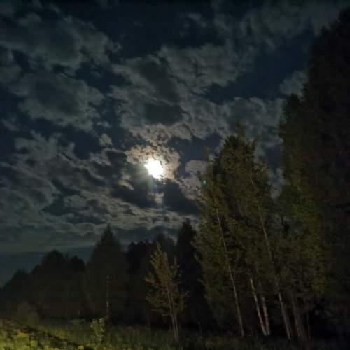 Photo #10715284