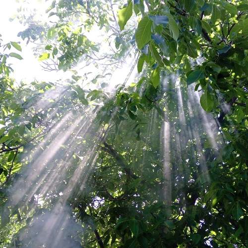 Photo #10715344