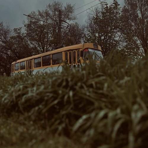 Photo #10715761